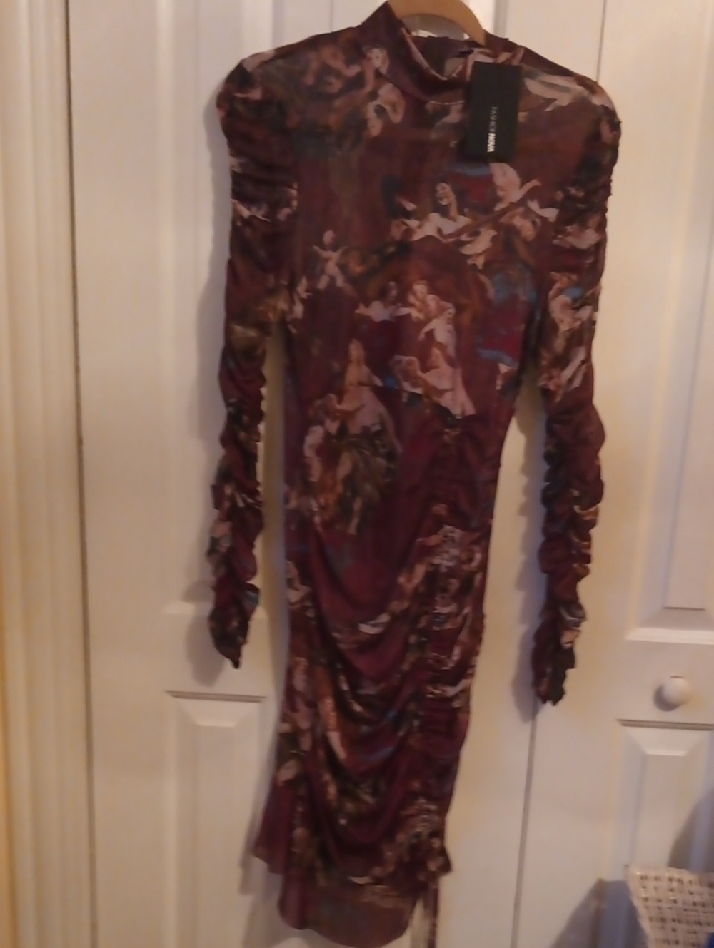 Ruched Long Sleeve Sheer Burgundy Floral Print Dress